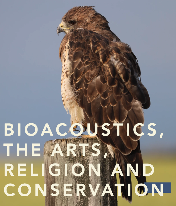 Hawk standing on fence post. Text reads: Bioacoustics, the arts, religion and conservation